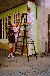 NAME GIF