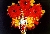 NAME GIF