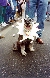 NAME GIF